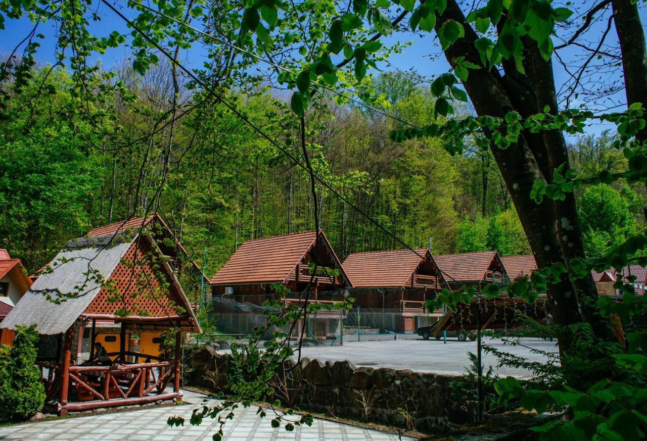 Toursit Complex Polyana Kvasova Hotel Exterior photo