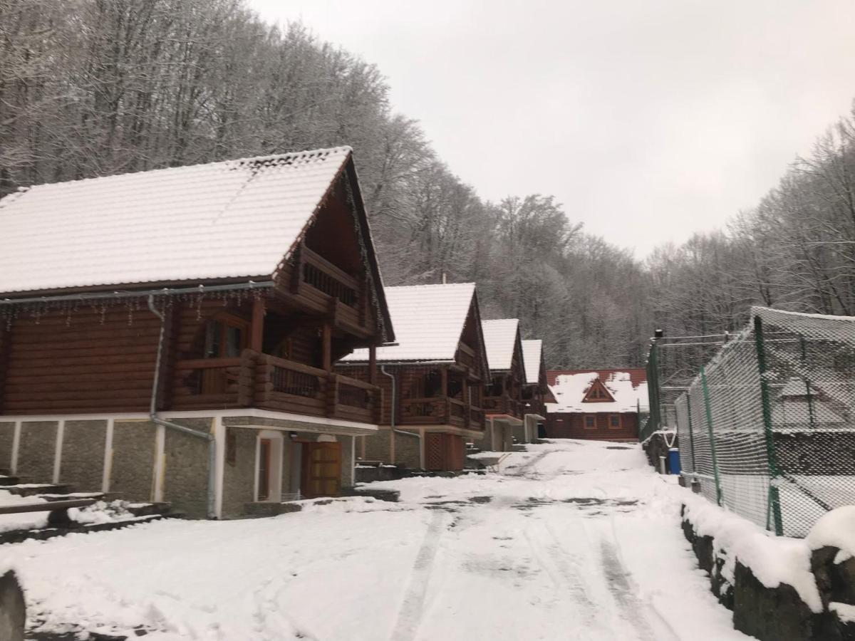 Toursit Complex Polyana Kvasova Hotel Exterior photo
